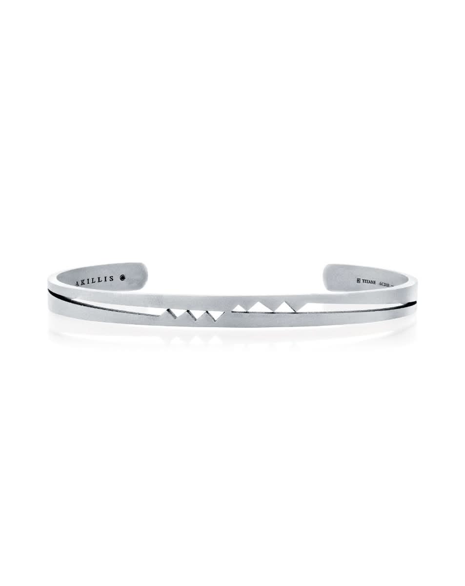 color: Titanium