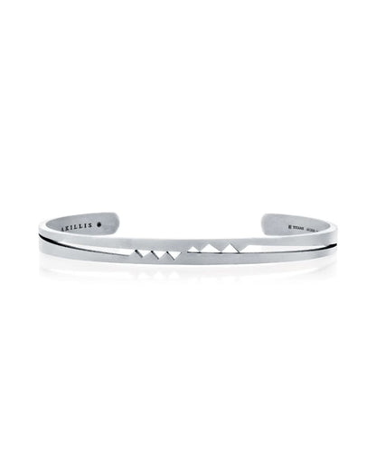 color: Titanium
