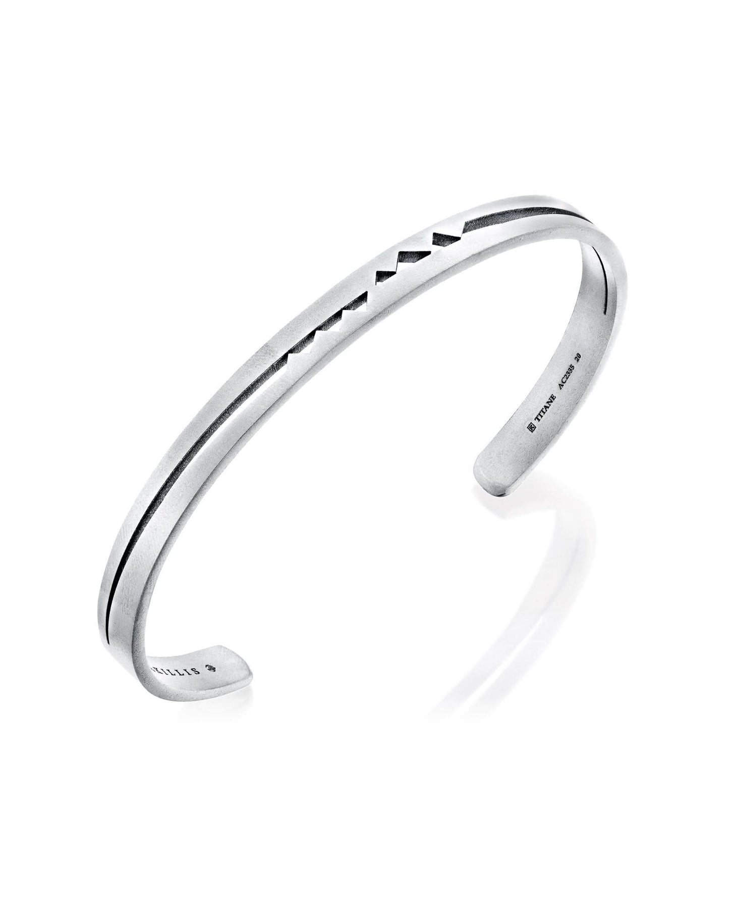 color: Titanium
