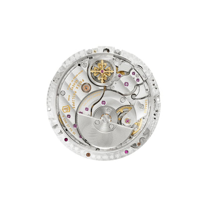 Patek Philippe Grand Complications Watch
