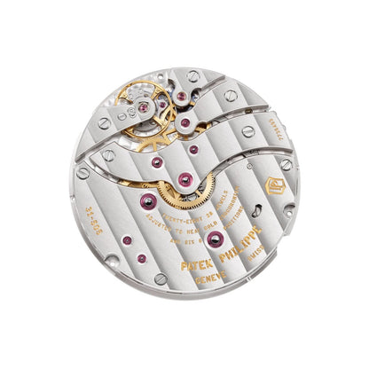 Patek Philippe Complications Watch