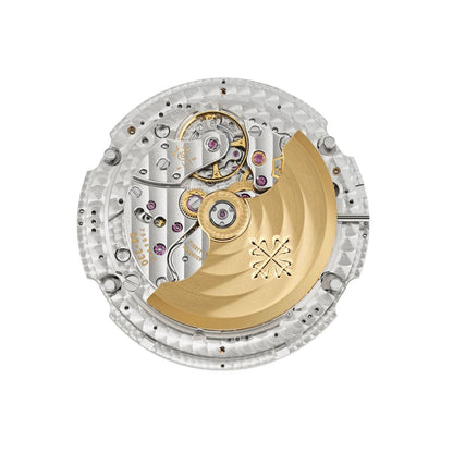 Patek Philippe Complications Watch