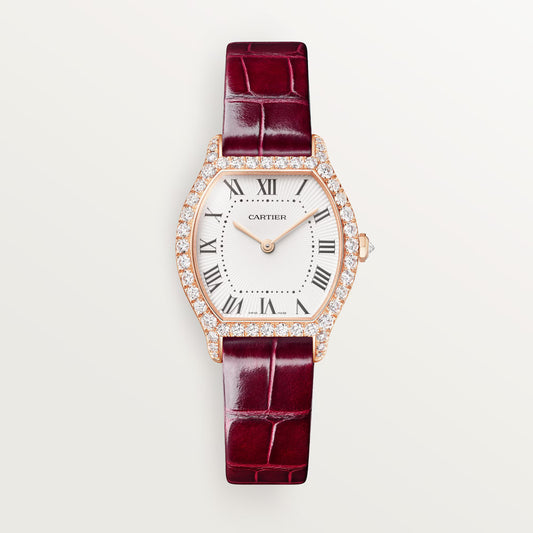 Tortue watch Small Model
