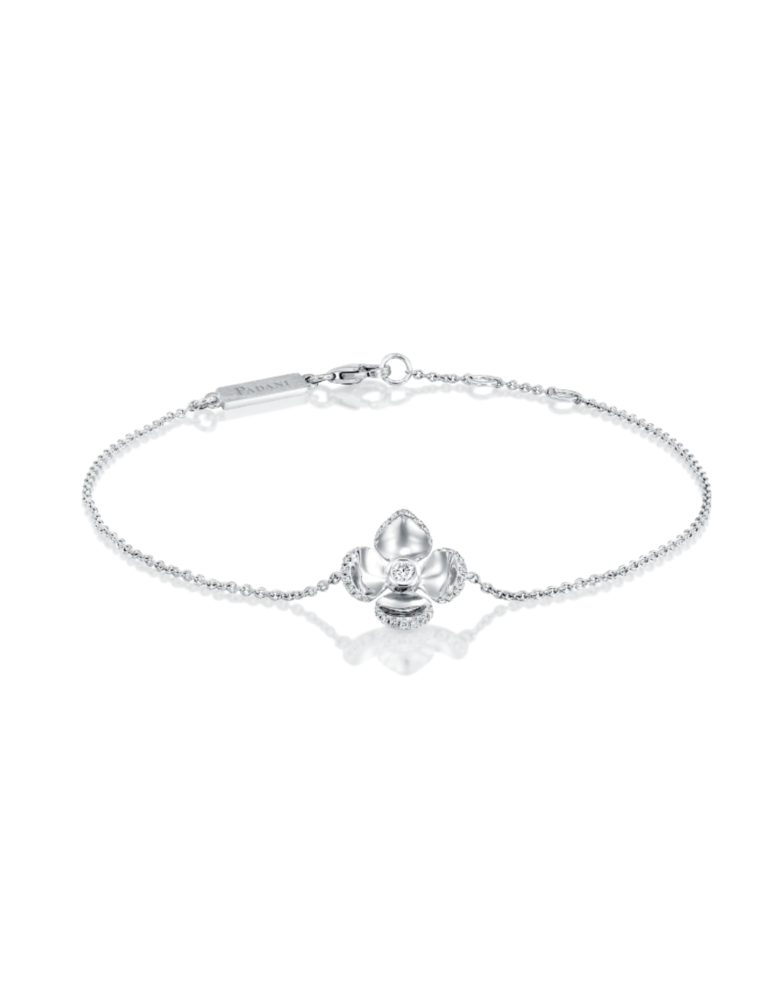 color: White Gold