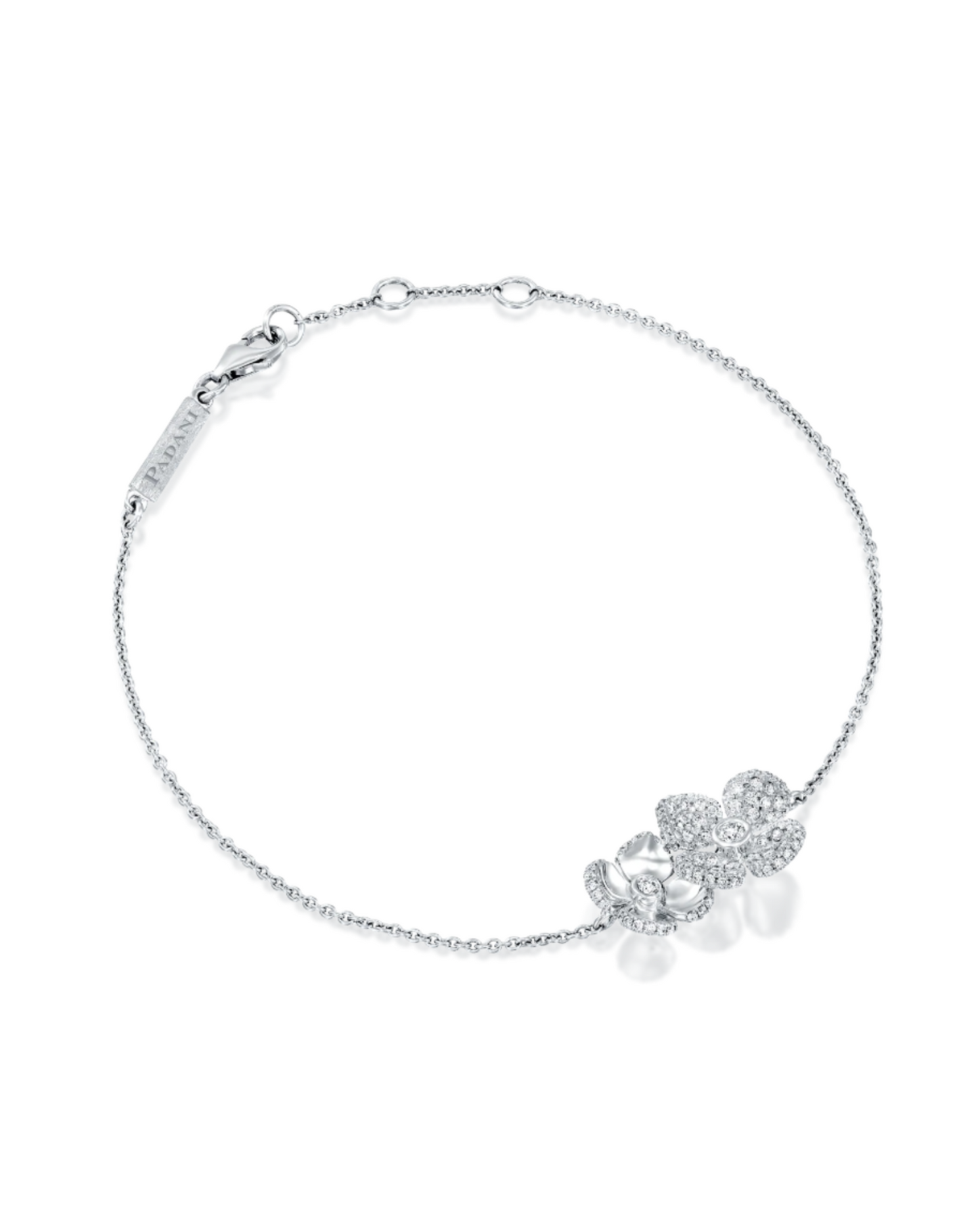 color: White Gold