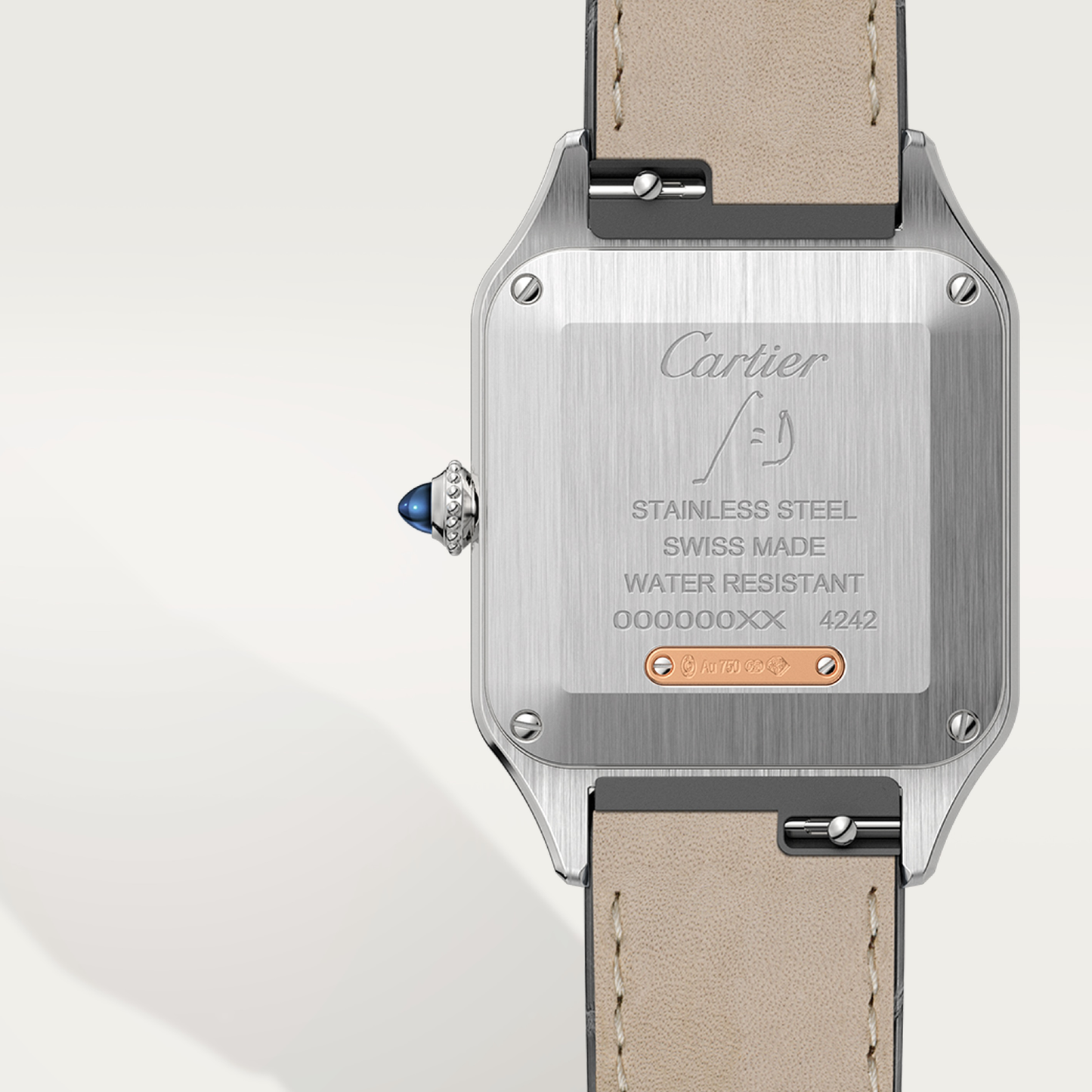Santos-Dumont de Cartier watch