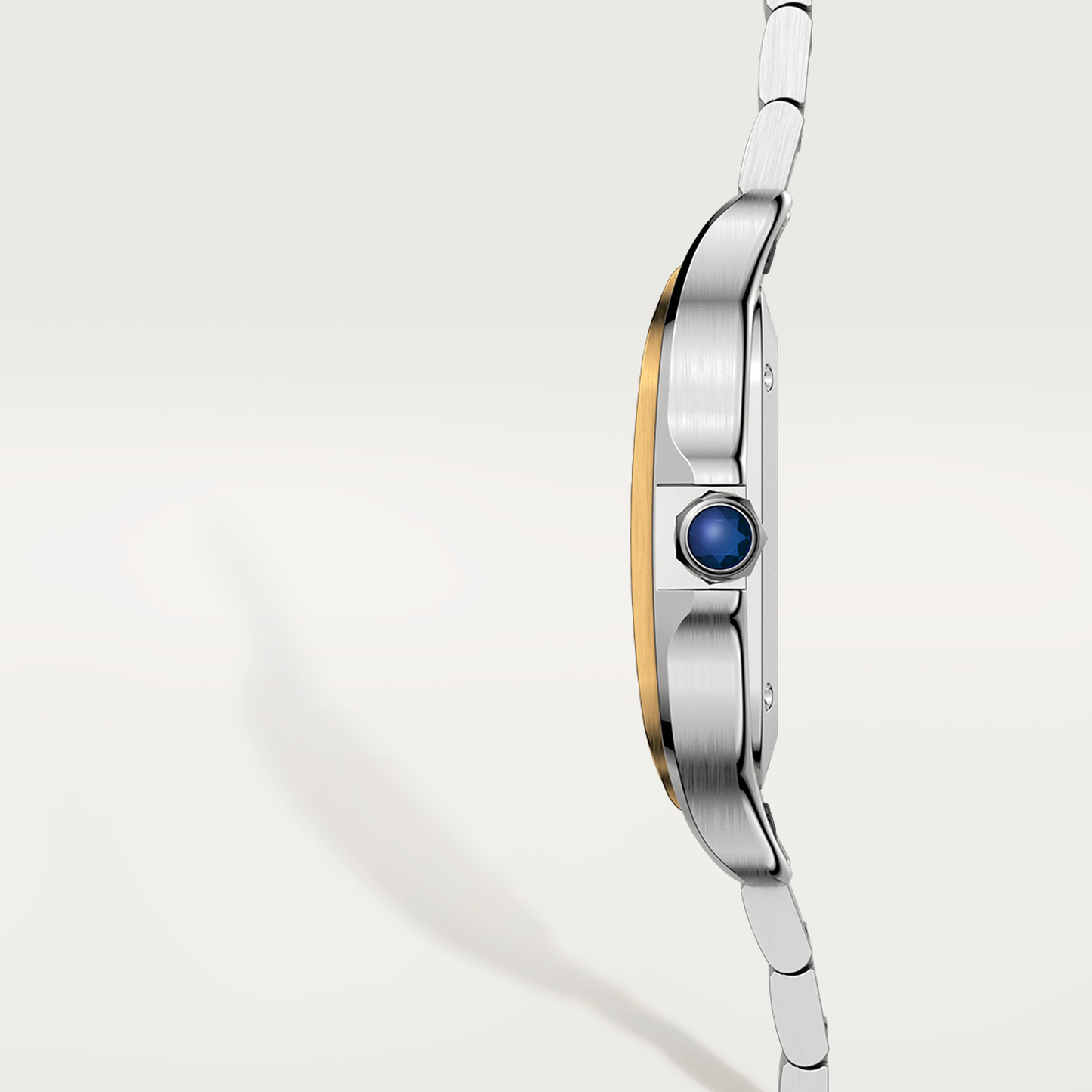 Santos de Cartier watch