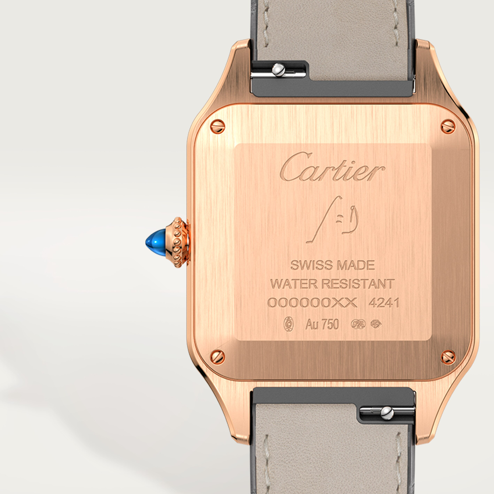 Santos-Dumont de Cartier watch