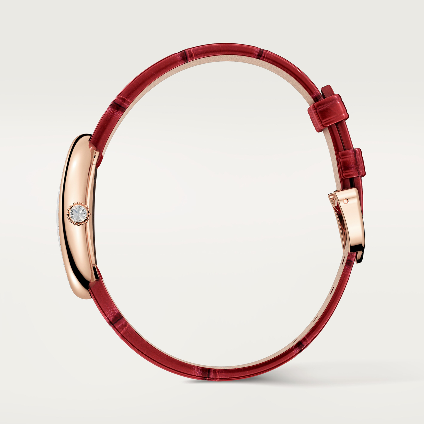 Baignoire de Cartier watch