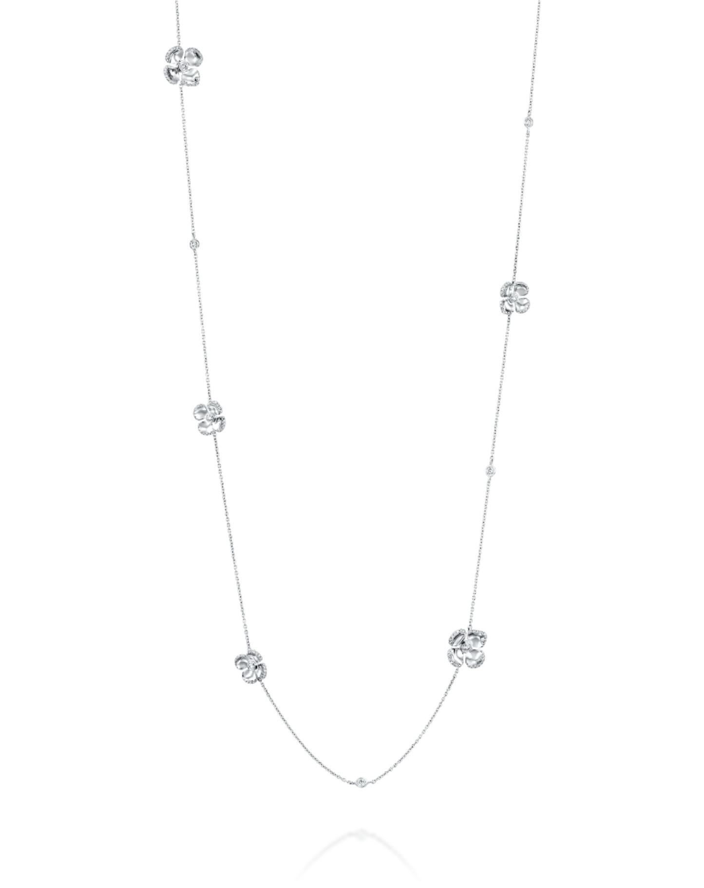 color: White Gold