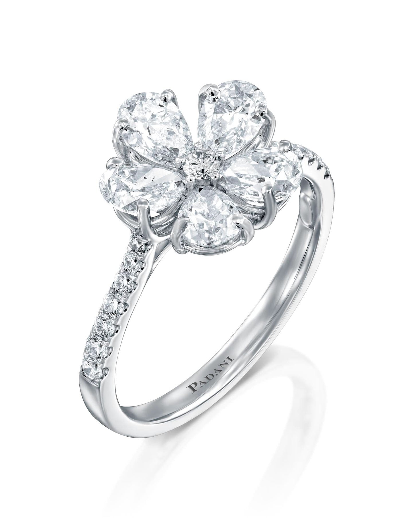 color: White Gold