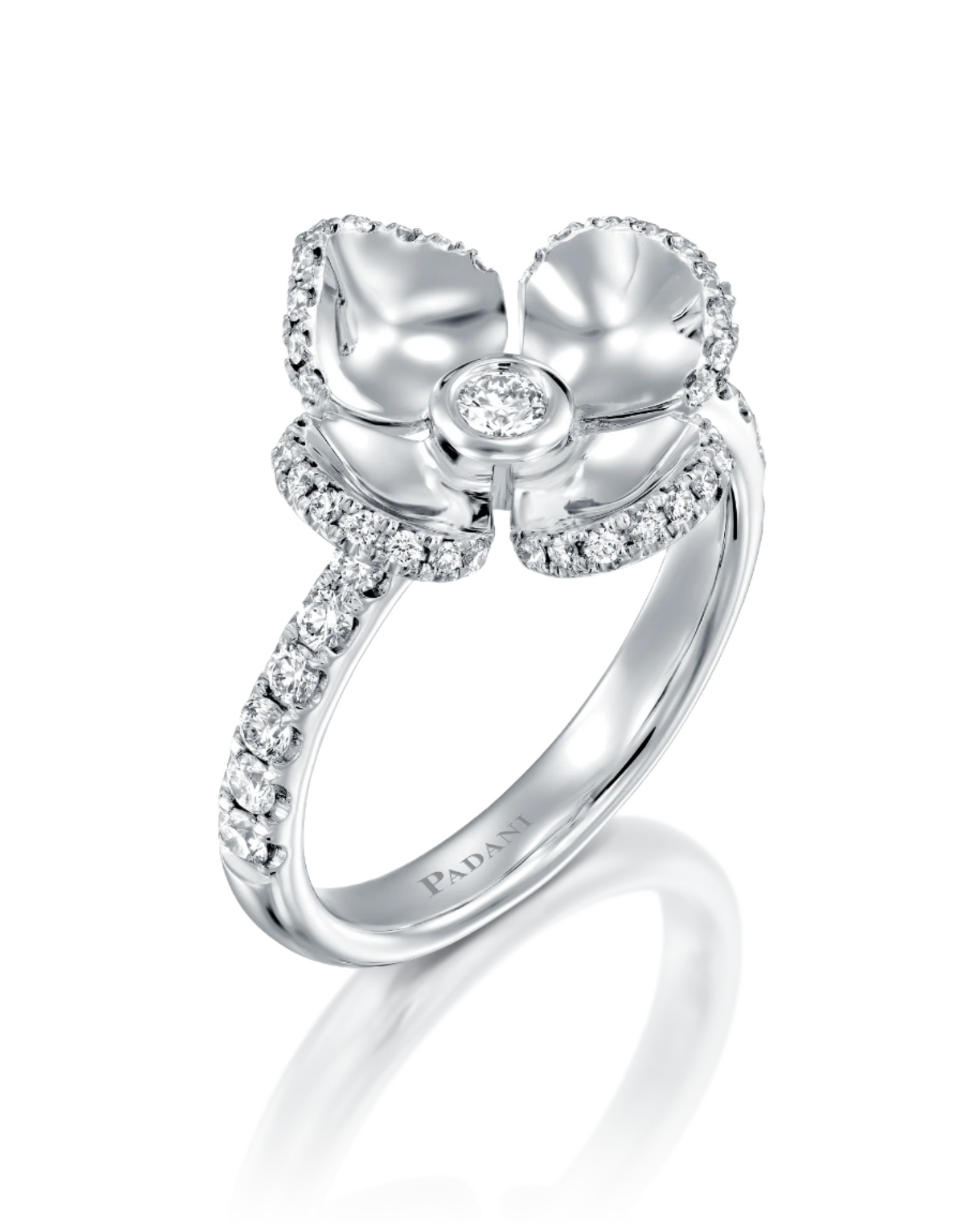 color: White Gold