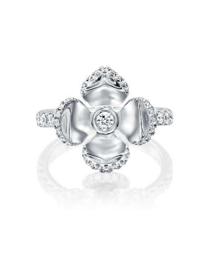color: White Gold