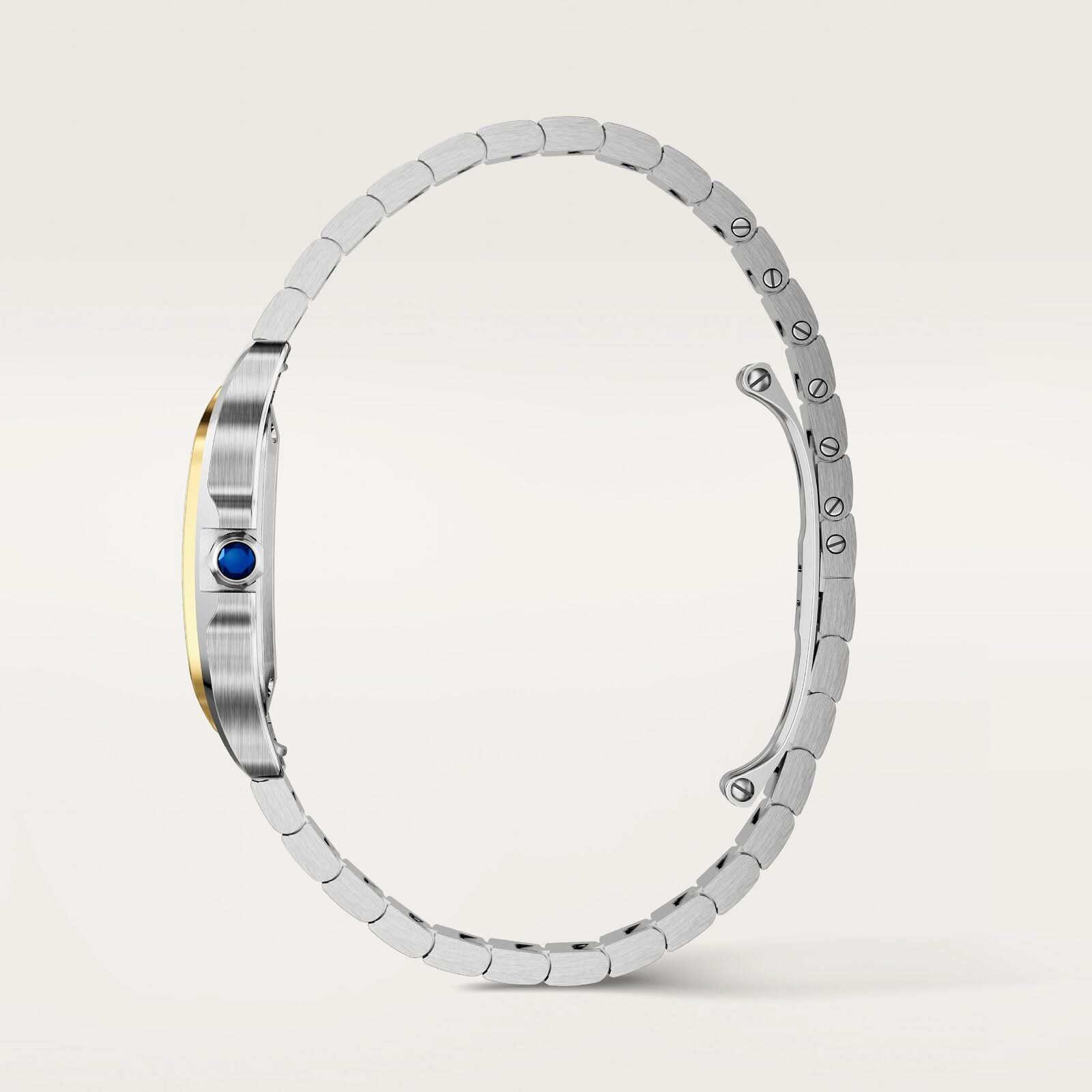 Santos de Cartier watch