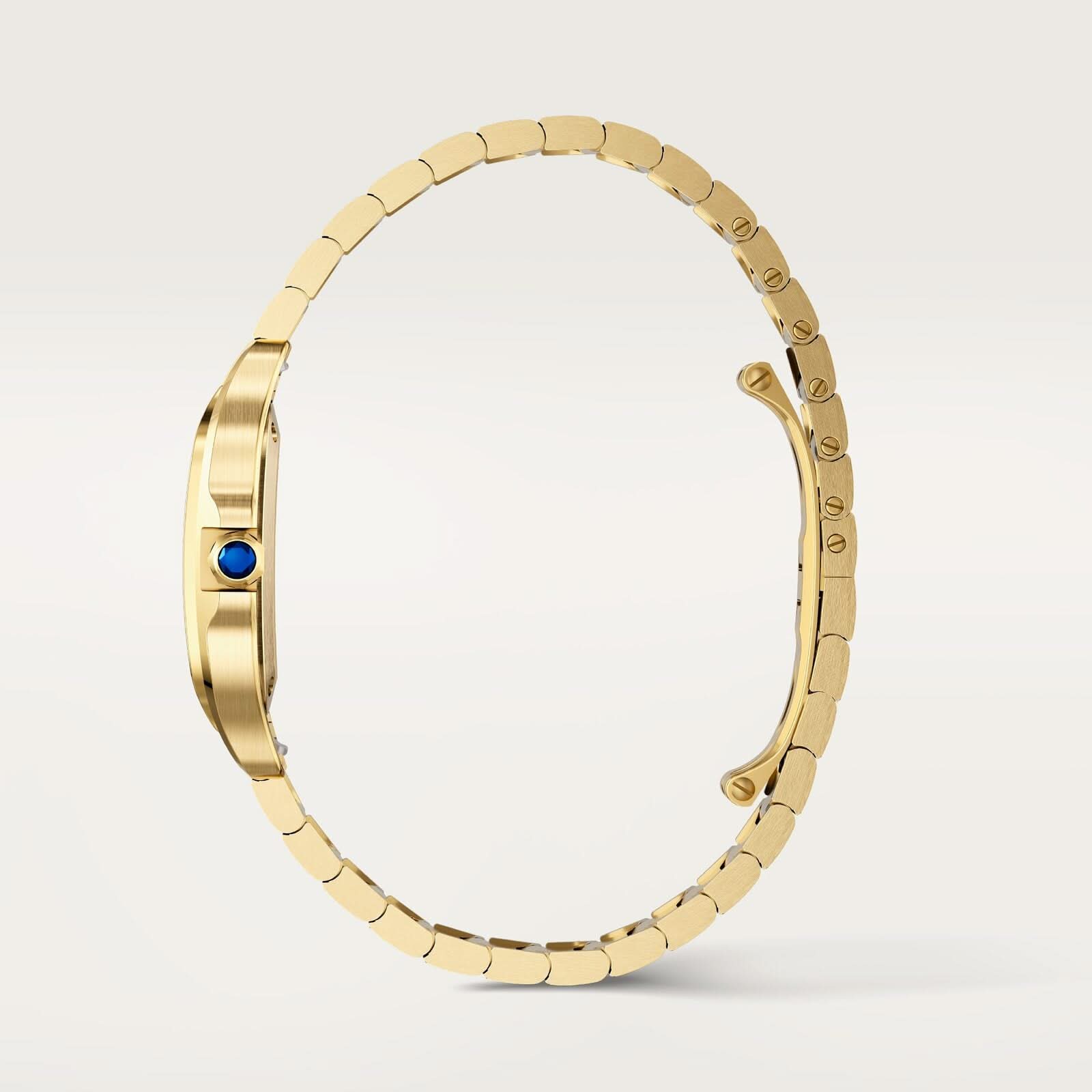 Santos de Cartier watch