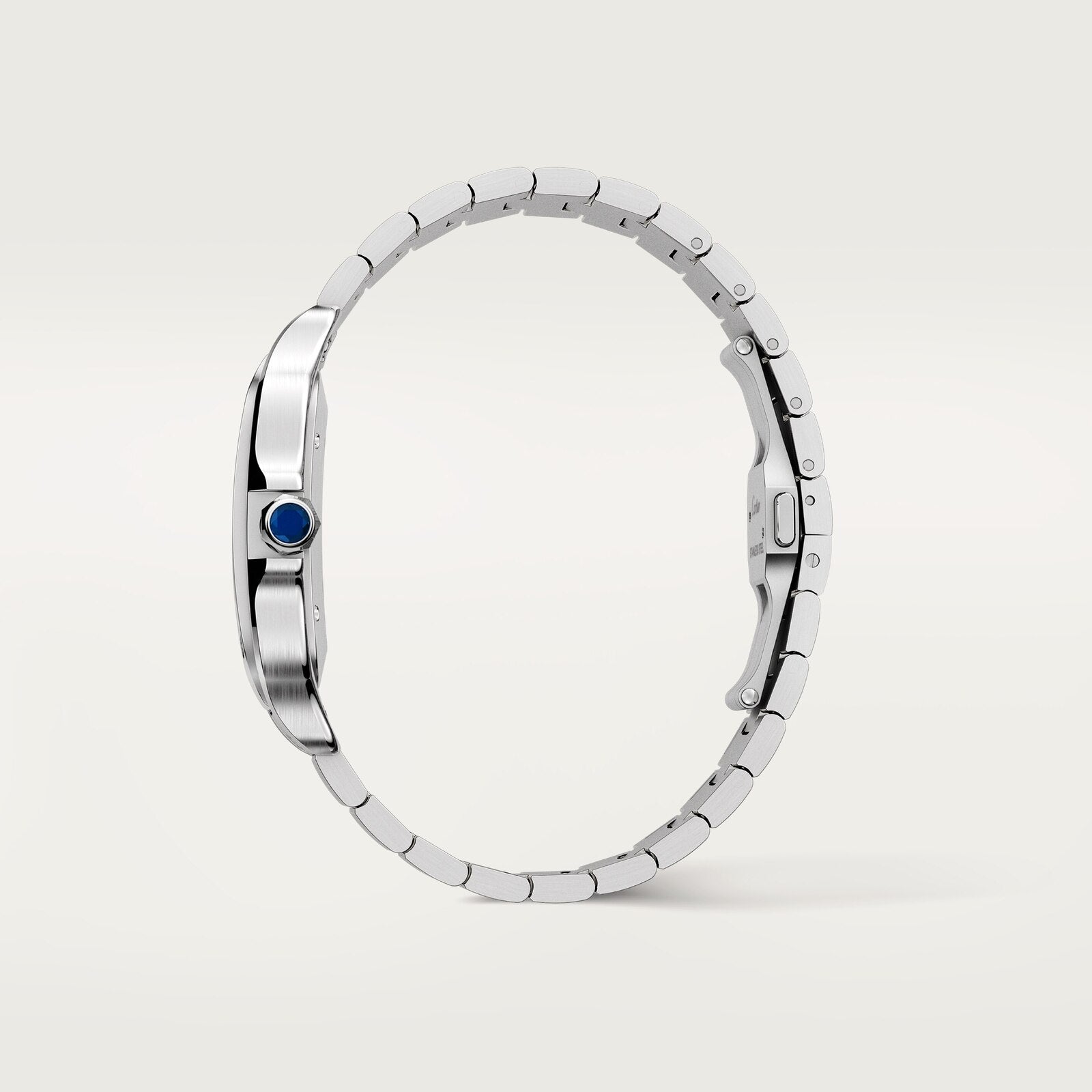 Santos de Cartier watch