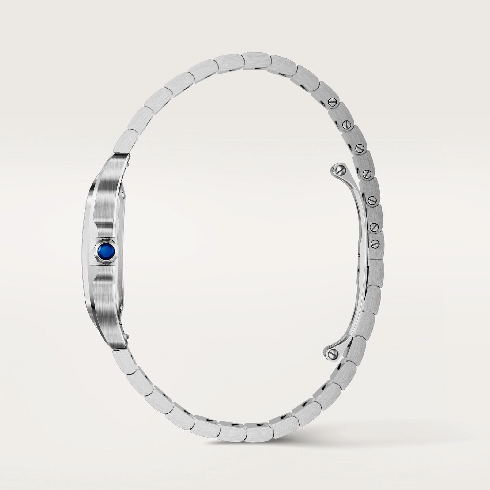Santos de Cartier watch