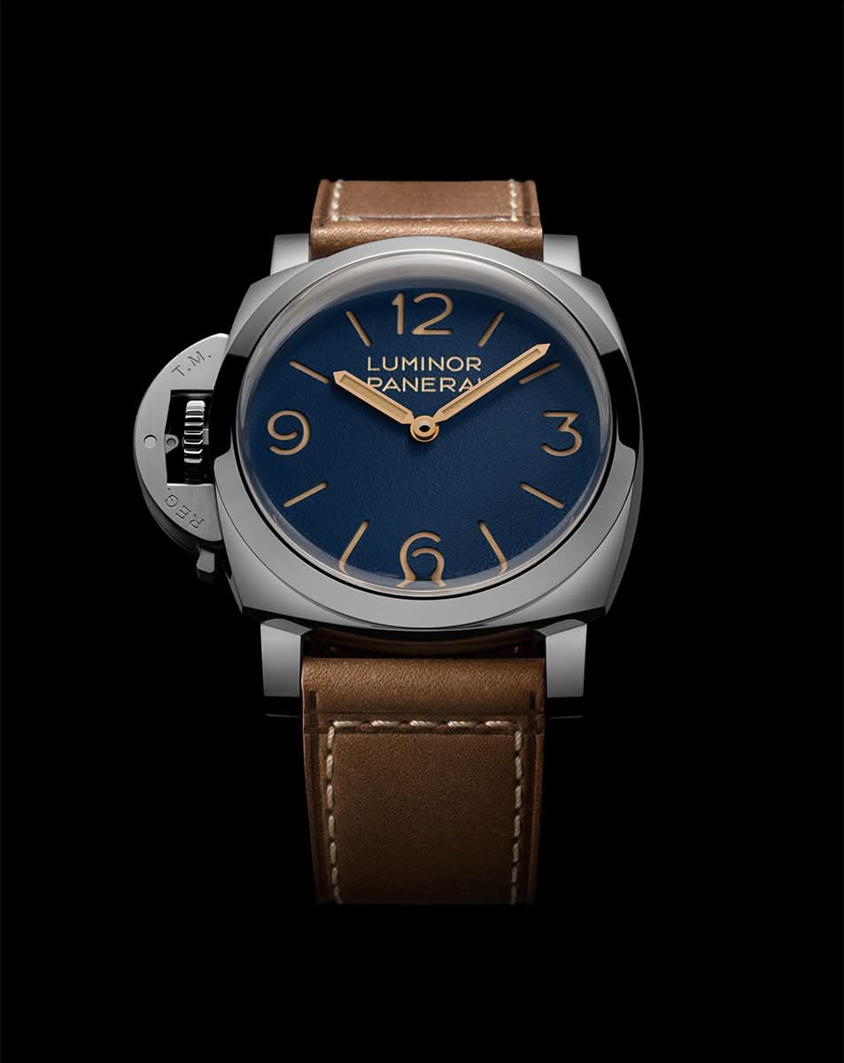  PAM01732 