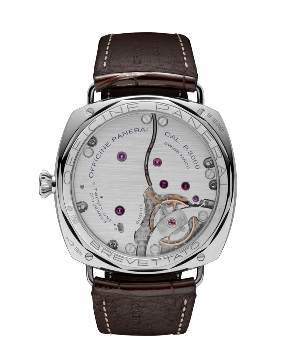 PAM00376
