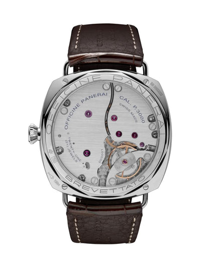 PAM00376