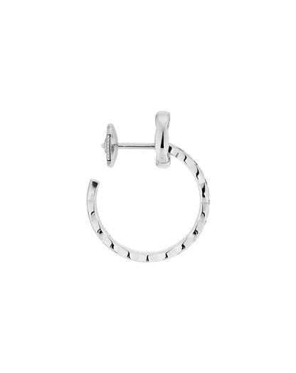 color: White Gold