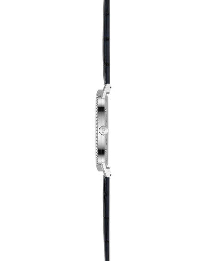 Steel